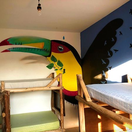 Florianópolis Katsbarnea Hostel מראה חיצוני תמונה