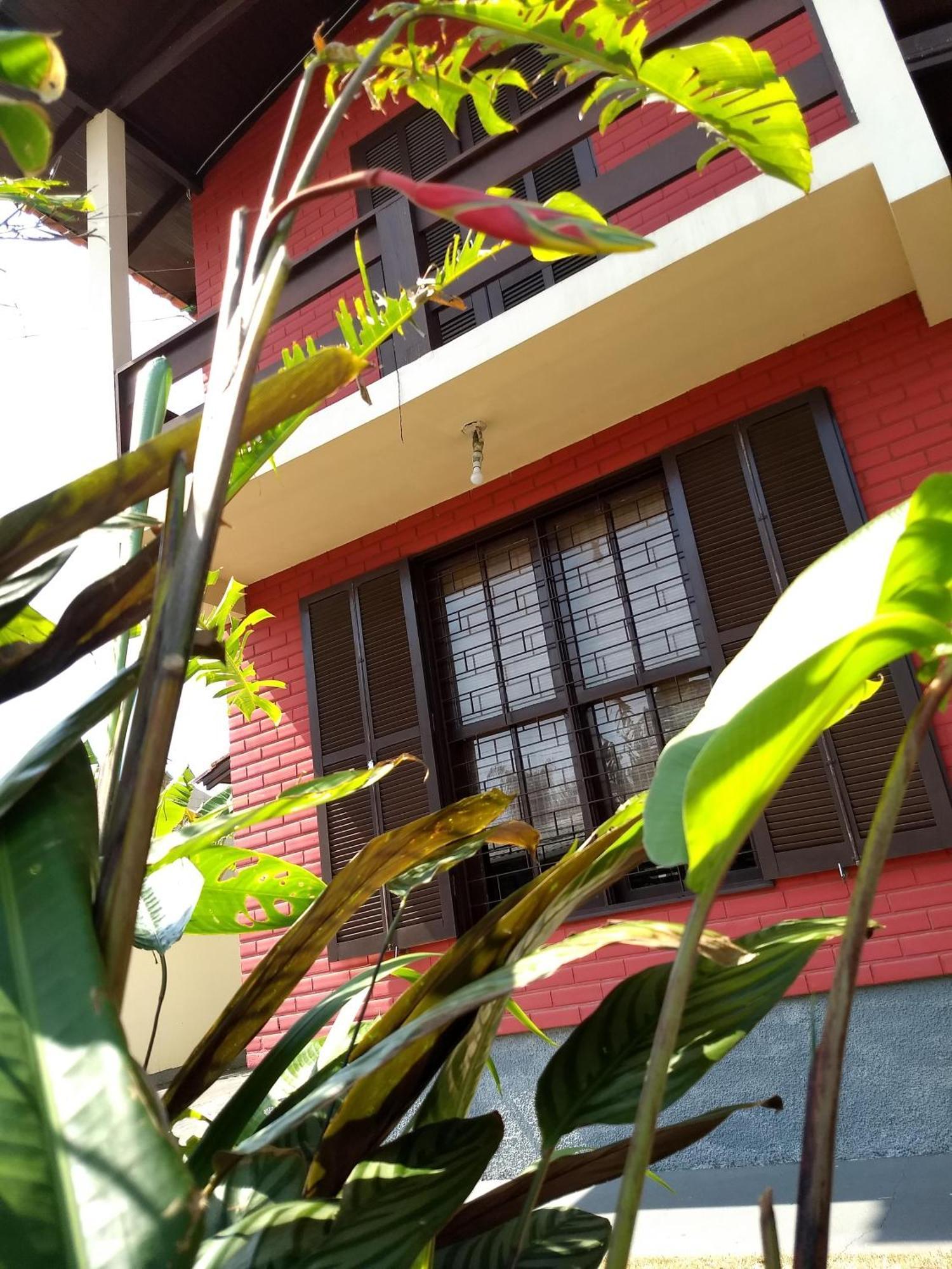 Florianópolis Katsbarnea Hostel מראה חיצוני תמונה