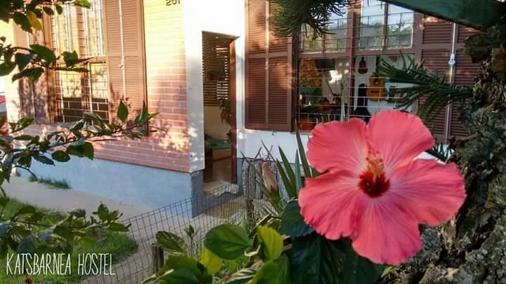 Florianópolis Katsbarnea Hostel מראה חיצוני תמונה