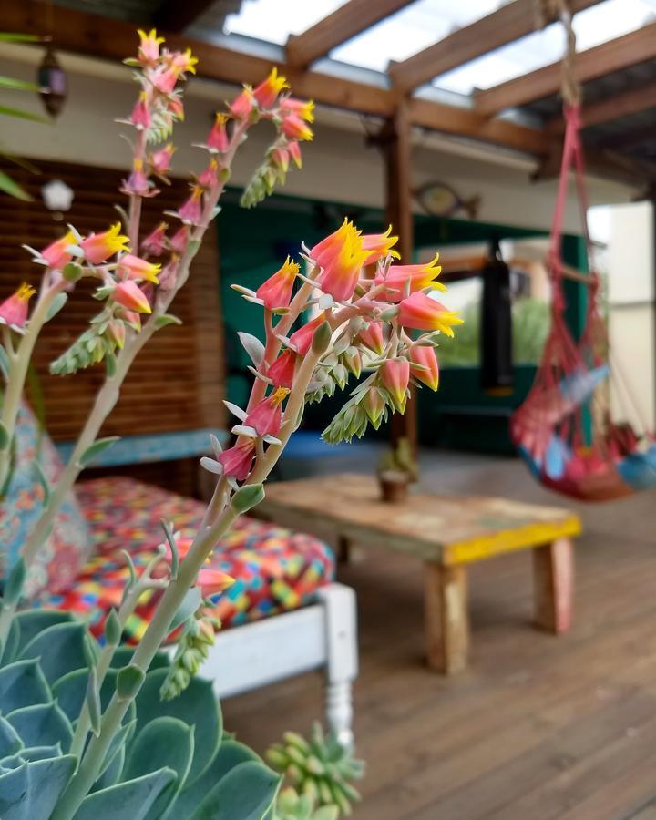 Florianópolis Katsbarnea Hostel מראה חיצוני תמונה